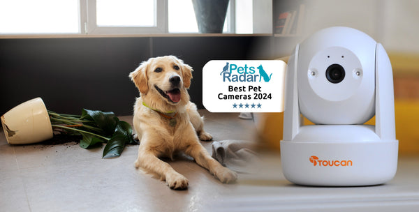 Toucan Seek Pan & Tilt Security Camera - Best runner-up pet camera